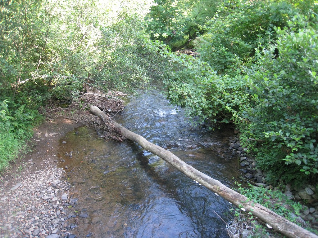 Helen to Unicoi 2010 0305.jpg - The trail from Helen Georgia to the lodge at Unicoi State Park makes a fun six mile run. July 2010 and 90 degrees makes it a little bit more of a workout.